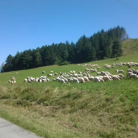 Fatrapark 1 U Sovicky Studio, Kuchynka, Kupelna,s Balkonom Gratis Parkovanie V Podzemnej Garazi *