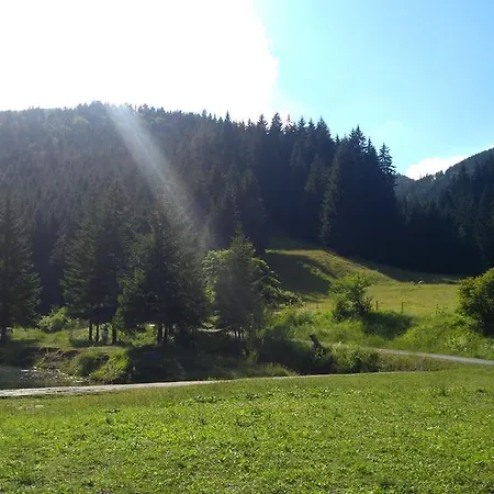 Apartmán FATRAPARK 1 U SOVIČKY štúdio, kuchynka, kúpeľňa,s balkónom grátis parkovanie v podzemnej garáži *