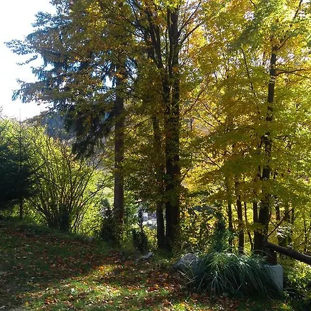 Apartmán FATRAPARK 1 U SOVIČKY štúdio, kuchynka, kúpeľňa,s balkónom grátis parkovanie v podzemnej garáži Ruzomberok