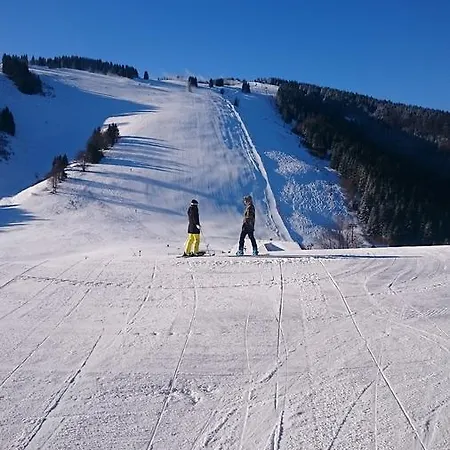 FATRAPARK 1 U SOVIČKY štúdio, kuchynka, kúpeľňa,s balkónom grátis parkovanie v podzemnej garáži Apartmán *